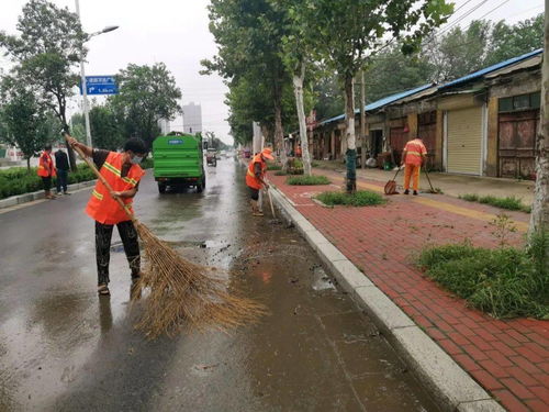 商丘環(huán)衛(wèi)部門開(kāi)展道路深度清洗與設(shè)施安裝服務(wù) 全面提升市容環(huán)境品質(zhì)